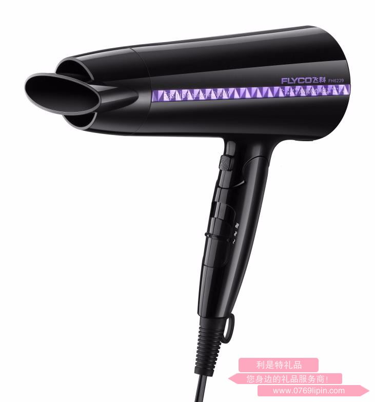 Flyco/飛科FH6229 負離子家用2000W大功率冷熱風(fēng) 發(fā)廊靜音電吹風(fēng)
