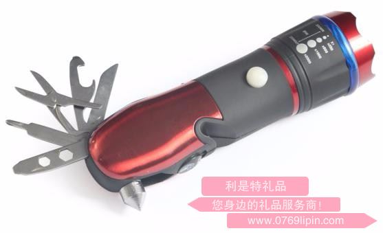 行者13合1汽車(chē)工具 BD-S2010