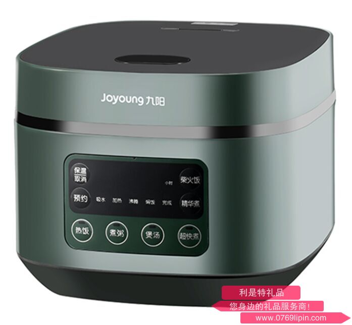九陽(yáng)電飯煲 F30FZ-F636