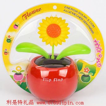 太陽(yáng)能蘋(píng)果花002